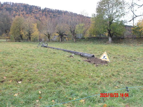 Illustration article